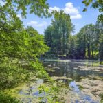 TRAUMHAFTE EIN ODER ZWEI NEUBAU-FAMILIEN-VILLA MIT LUXUSAUSSTATTUNG IN BESTLAGE VON GRUNEWALD