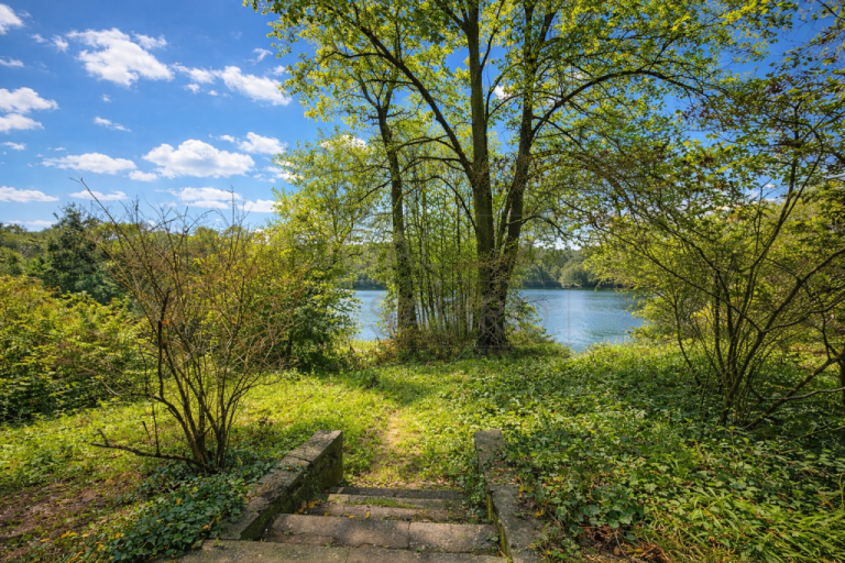 EINMALIGE GELEGENHEIT – GROSSES WASSERGRUNDSTÜCK IN BESTER GRUNEWALD-LAGE EINMALIGE GELEGENHEIT – GROSSES WASSERGRUNDSTÜCK IN BESTER GRUNEWALD-LAGE
